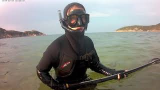 Zıpkınla balık avıDalış eğitimi sığ su bayilmasiSpear fishing Diving training [upl. by Ligetti179]