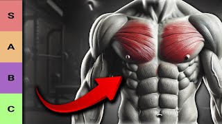 MEJORES EJERCICIOS PARA DESARROLLO DEL PECTORAL  TIER LIST DE EJERCICIOS PARA EL PECHO [upl. by Maxantia818]