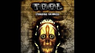 Tool  Forty Six amp 2 Live in Kalamazoo [upl. by Gelman768]