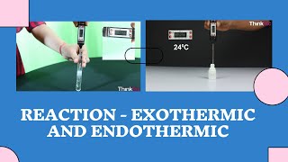 Reaction  Exothermic and Endothermic  ThinkTac  Science Experiment [upl. by Heigho]