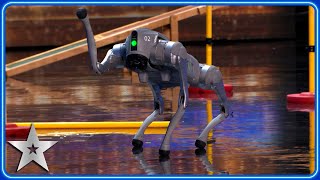 Robotic dog PUZZLES Judges with futuristic routine  Auditions  BGT 2024 [upl. by Bonns]