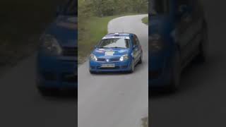 Rally Nova Gorica  Slovenia wrc rallycar shortsfeed shorts athapetir2603 yt [upl. by Tiertza243]