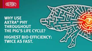 Axtra® PHY the fastacting phytase  DuPont Nutrition amp Biosciences [upl. by Box]