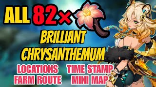 All 82 Brilliant Chrysanthemum Locations amp farm route  Genshin Impact Xilonen ascension materials [upl. by Hilary]