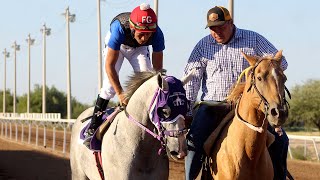 Carrera de Caballos Hipodromo Los Mezquites 23 Septiembre 2023 [upl. by Kraska]