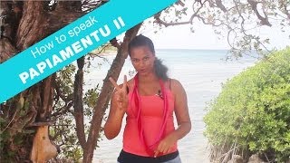 How to speak papiamentu part 2  Language lesson  Curacao [upl. by Allain479]