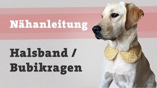 DIY Hundehalsband selber machen  Hund Halstuch Halsband nähen Nähanleitung kostenlos [upl. by Abner]