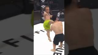 STUNNING Dwarf MMA Headkick KO [upl. by Littell]