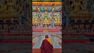 Inside the monastery in India monastery coorg monk wetravelunplanned goldentemple kushalnagar [upl. by Maribeth]