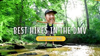 Hiking From Oakton To Reston On The SNEAKY FUN Cross County Trail  Best Hikes In The DMV [upl. by Adnilreb]