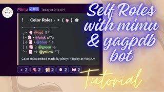 How to create mimu reaction roles  YAGPDB bot  Mimu bot  2024 [upl. by Arit]
