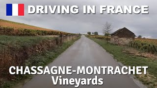 DRIVING in FRANCE  Vineyards ChassagneMontrachet Puligny [upl. by Neelia]