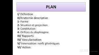 le diaphragme et nerfs phréniques cours danatomie num 15 [upl. by Eniluap]