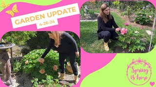 Garden Update 42624 [upl. by Rhoades]