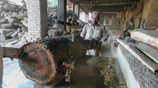 quotHandSawing Logs on a Bandsaw Essential Tips for Successquot  Sawmill Wood cutting [upl. by Otinauj]