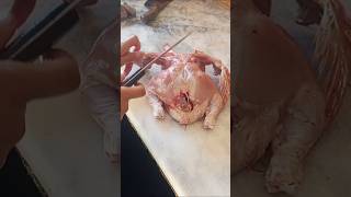 Butcher Start Knife Using for Chicken 🐔 chicken cuttingskills knifeskills shorts [upl. by Buzzell]