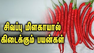 Unbelievable Benefits of cayenne pepper  சிவப்பு மிளகாயால் கிடைக்கும் பயன்கள் [upl. by Ellenrahc]