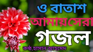 ‌্ও বাতাশ আমায়🌿 তুমি নিয়ে যাওনা 🌠 বাংলা গজল 2024🕍 Hassan HA Gojol 💙 [upl. by Dene]