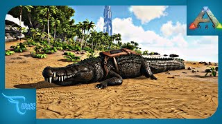 CARA MUDAH TAMING DEINOSUCHUS  Ark Survival Evolved Indonesia [upl. by Ueih]