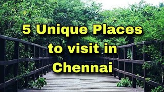 5 Interesting Places to visit in Chennai Royal Chitran DhakshinachitraMust visit place in Chennai [upl. by Wan844]