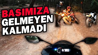 MOTORLARLA ORMANA GİRDİK  252 BEYGİRLE  ORMAN MOTOVLOG [upl. by Matrona]