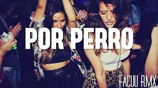 ► POR PERRO  SEBASTIAN YATRA ✘ FACUU RMX FIESTERO REMIX [upl. by Wake463]