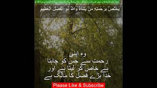 Surah Al Imran 374  Beautiful Quran Recitation  Quran Urdu Translation quranterjumah tilawat [upl. by Gaskin]