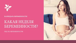 Срок Беременности 🤰Какая Неделя Беременности [upl. by Acirretal]