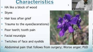 Staphysagria Homeopathic Medicine Tips For Beginners [upl. by Ydissac]