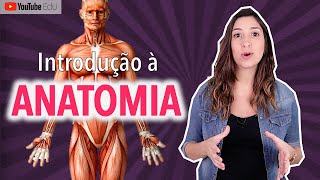 Introdução à Anatomia posição anatômica e termos de relação  Anatomia etc [upl. by Zerlina]