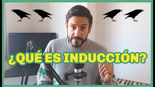 ¿Qué es INDUCCIÓN  FÁCIL RÁPIDO Y SENCILLO 🤓🤓🤓 [upl. by Aihsatal]