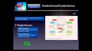 Basiskurs BiochemieChemie AnabolismusKatabolismus Teil 610 [upl. by Ileek]