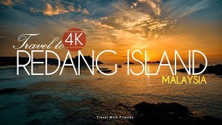 Travel to Redang Island Malaysia in 4K [upl. by Dorcas163]