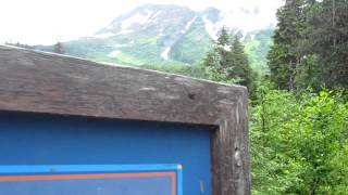 Zugs Slide Avalanche Winner Creek Trail Girdwood Alaska [upl. by Kronick]