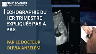 Webinar Sonoscanner Echographie du 1er trimestre expliquée pas à pas [upl. by Ennaid]