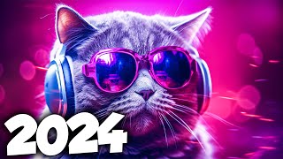 MÚSICA ELETRÔNICA 2024 🔥 AS MÚSICAS ELETRÔNICAS MAIS TOCADAS 🔥 Alok Vintage Culture amp David Guetta [upl. by Noreen419]