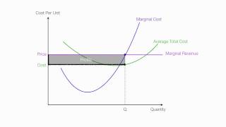 Introduction to Perfect Competition [upl. by Areval274]