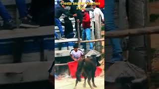 corrida de toros vinchos 2023 banda [upl. by Aihsitan]