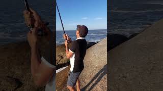 Pesca en Punta del Diablo Uruguay Corvina Negra 35kg [upl. by Nnainot]