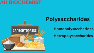 Polysaccharides structure and classification Glycogen  Cellulose Starch Amylose and Amylopectin [upl. by Colin542]