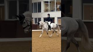 🥈Our first Novice Dressage test [upl. by Radborne]