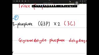 What is Glycolysis 🤔 Explanation with drawing [upl. by Morganne]