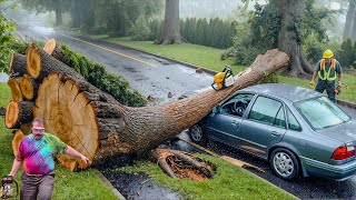 Dangerous Fastest Idiots Cutting Tree Fails Skill With Chainsaw  Tree Falling on Houses 4 [upl. by Hcirdla312]