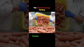 The Cleanest Sausage Factory [upl. by Ahsap]