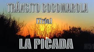 Trio Cocomarola quot la picadaquot [upl. by Ahsirhcal]