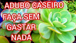 ADUBO CASEIRO TOTALMENTE GRATUITO PARA SUCULENTAS E PLANTAS [upl. by Kirsteni]