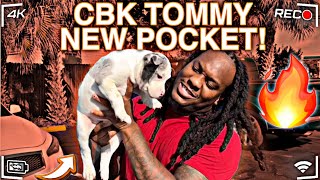 CBK TOMMY PICKING UP HIS POCKET BULLY [upl. by Oirobil]