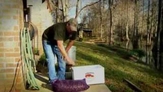 How To Cook Crawfish  Louisiana Crawfish Company [upl. by Graeme]