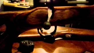 Mossberg 100 ATR Boyds Thumbhole Stock Simmons 243 [upl. by Nilok]