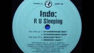 Indo  R U Sleeping Stonebridge Remix FULL SONG [upl. by Brubaker]